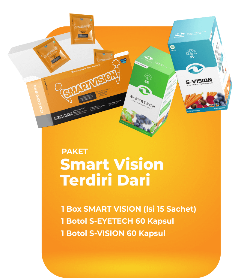 LP SmartVision 17